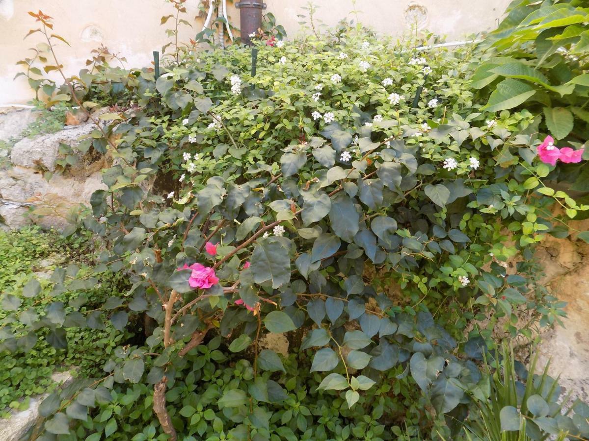 Garden&House Amore Vero Modica Dış mekan fotoğraf